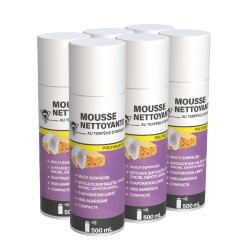 6 mousses nettoyantes 500mL