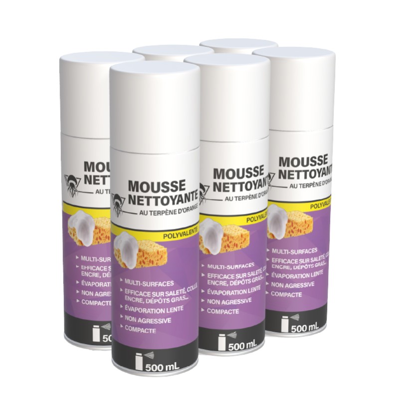 6 mousses nettoyantes 500mL