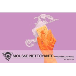 12 mousses nettoyantes 500mL