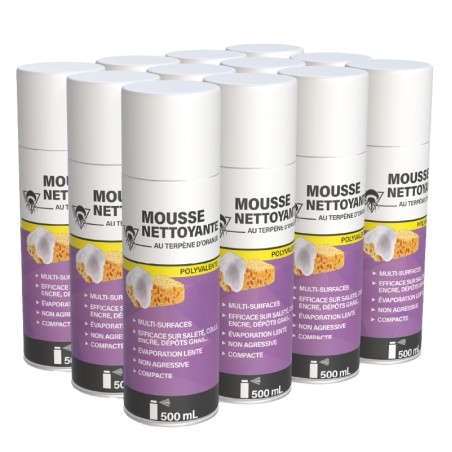 12 mousses nettoyantes 500mL