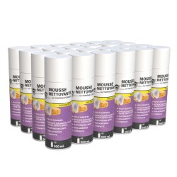 24 mousses nettoyantes 500mL