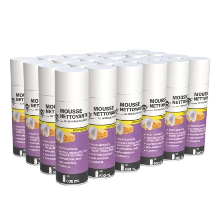 24 mousses nettoyantes 500mL