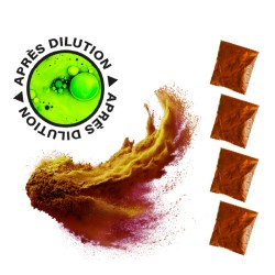 Poudre fluorescéine 5x5g