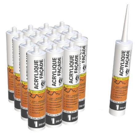 12 Acryliques façade 310mL